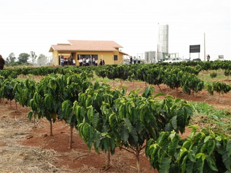 Fotos da Embrapa Meio Ambiente - /unidade/img/Face.jpg