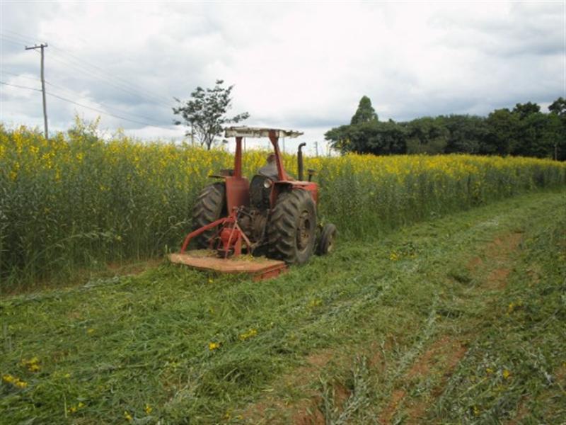 Fotos da Embrapa Meio Ambiente - /unidade/img/SitioAgroecol_mai11.jpg